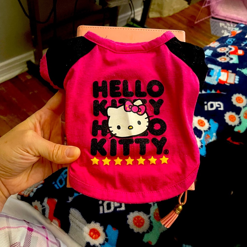 🙀HELLO KITTY Puppy shirt Never Worn Small🙀